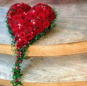 Meet your Posher, Olga